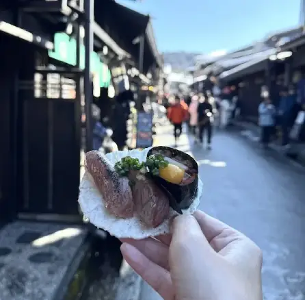 高山老街 江戶時代町家建築 — 冬季雪景古街